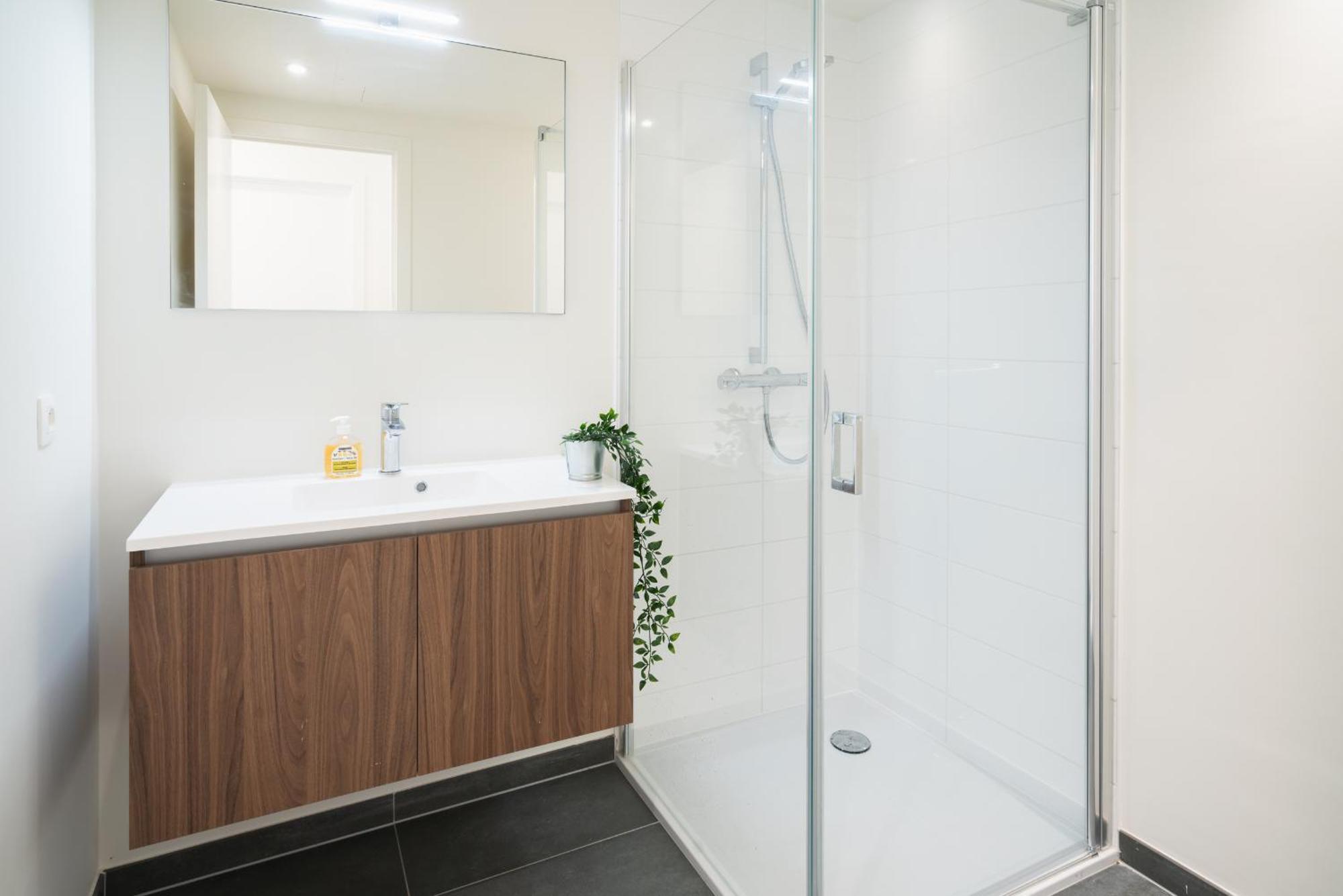Opera Square Apartments In Antwerp Centre Екстериор снимка