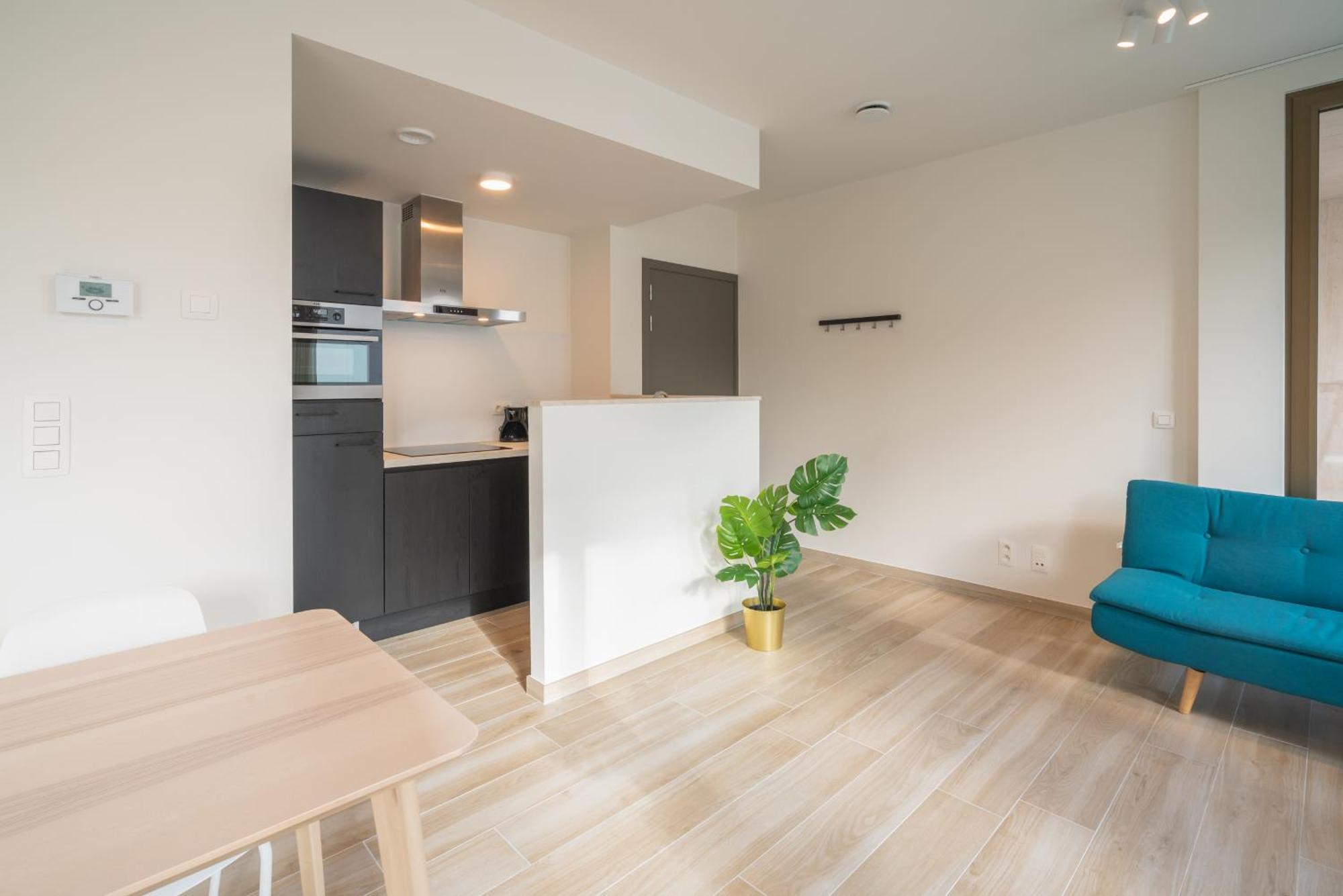 Opera Square Apartments In Antwerp Centre Екстериор снимка